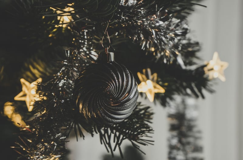 Holiday Surprises